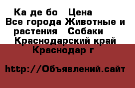 Ка де бо › Цена ­ 25 - Все города Животные и растения » Собаки   . Краснодарский край,Краснодар г.